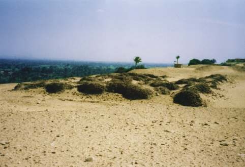 Sakkara-Nord